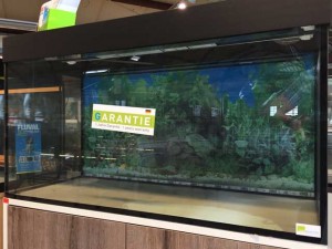 Aquarium-Umzug: Wechsel auf ein neues Becken