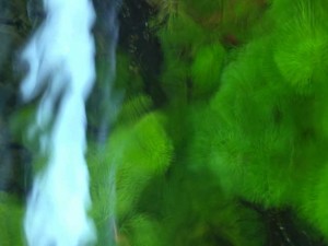 Aquarium Wasser Fragen: FAQ