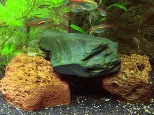 Steine im Aquarium: Beliebte Deko