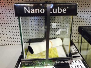Nano-Aquarium kaufen Fragen